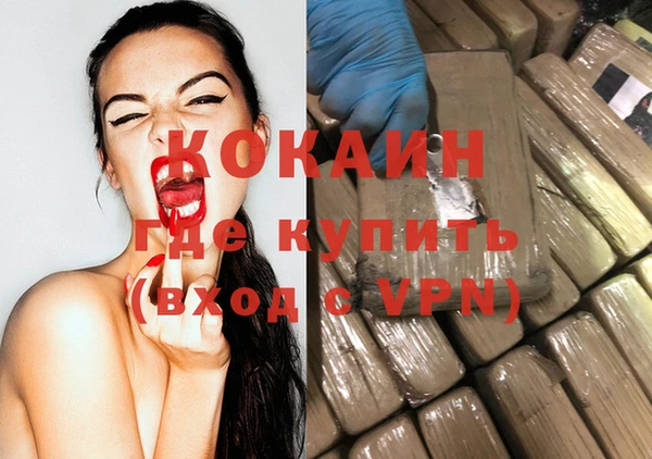 шишки Аркадак