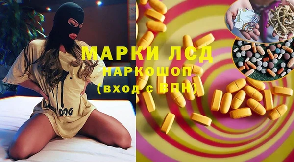 стафф Арсеньев