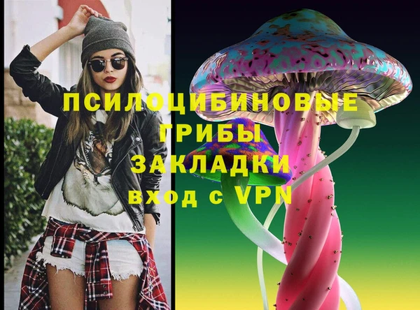 стафф Арсеньев