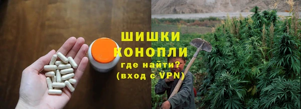 сатива Армянск