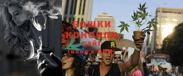 шишки Аркадак